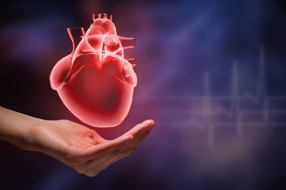 Cardiomyopathie ischémique