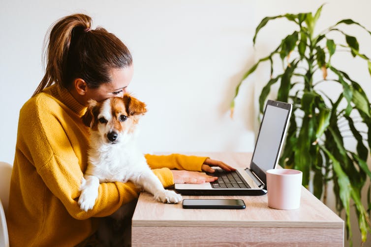 Une femme travaillant devant son ordinateur avec son chien