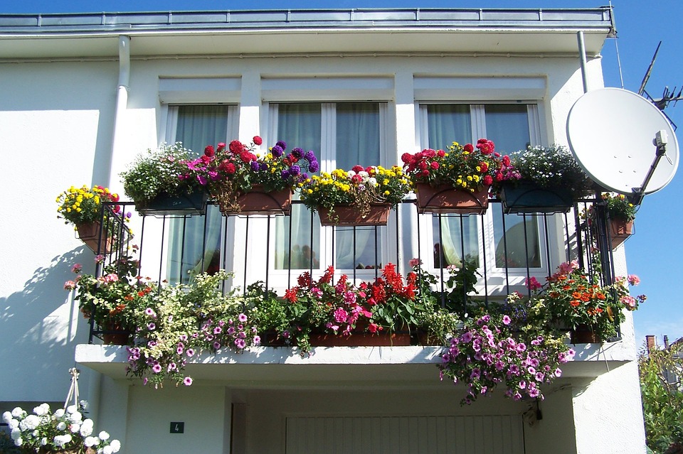 planter légumes et salades sur son balcon